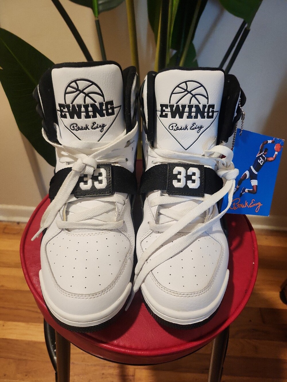 Ewing Concept Hi
